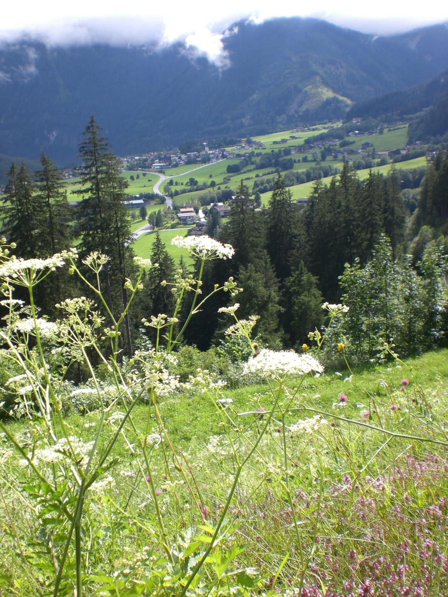 Gruppen Und Familienhof Falkenstein Krimml Exterior photo